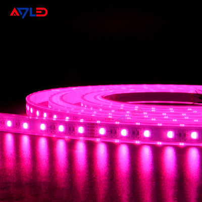 Les lumières de bande d'IP65 IP67 IP68 RGBW LED colorent changer 4 extérieurs dans 1 5050 5 borne 12V 24V