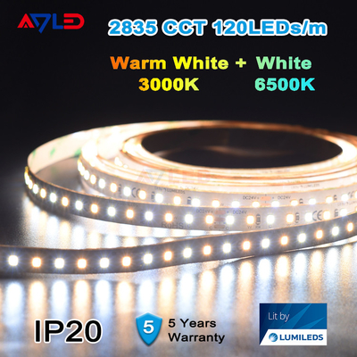La lumière de bande blanche réglable dynamique de LED 12V imperméabilisent