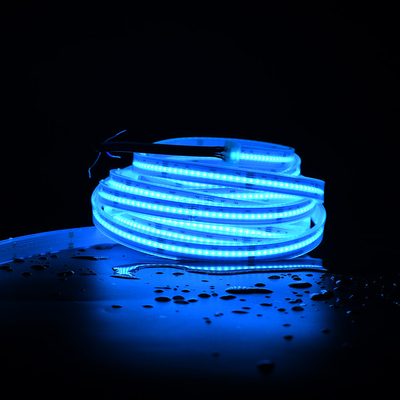 COB LED Light Adressable 896LEDs DC24V Couleur de rêve RGBW Flexible COB Pixel numérique à LED