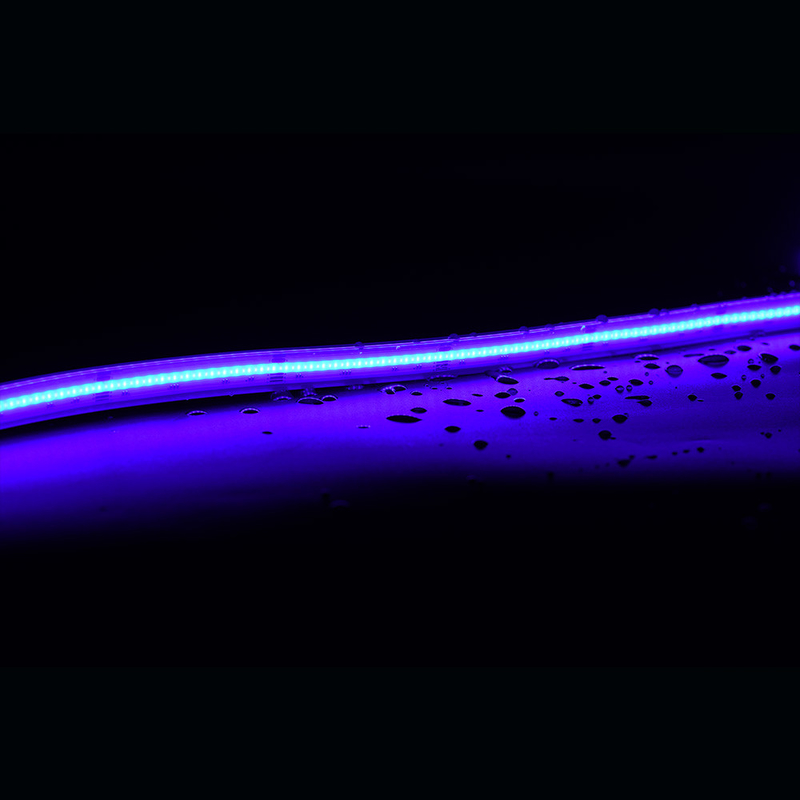 COB RGBIC LED Strip Pixel addressable DC 24V RGB RGBW Flexible bande lumineuse 896LEDs/m Smart COB LED Strip